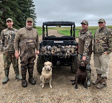 waterfowl taxidermy